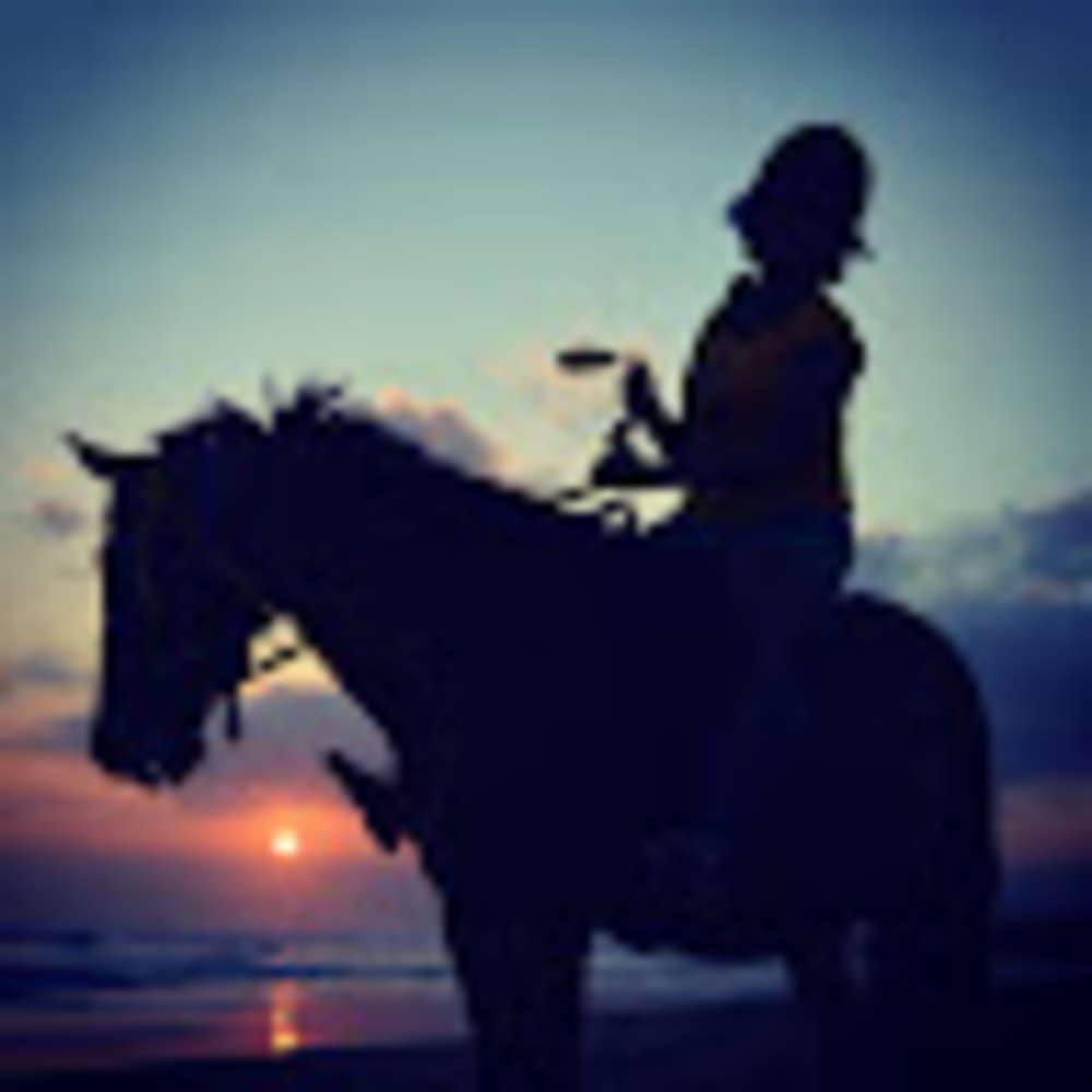 Meet your Posher, Metsihate